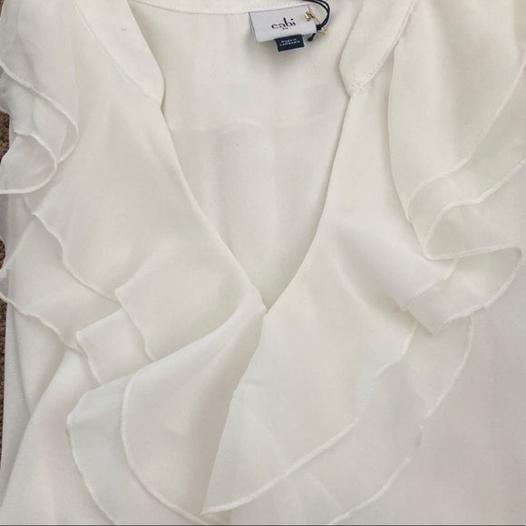 | CAbi 3979 Portrait Blouse - Picture 6 of 7